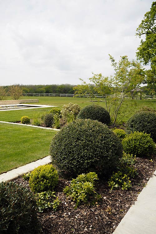 Formal garden gives way to wild English woodlands beyond.